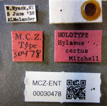 Media type: image;   Entomology 30478 Aspect: labels